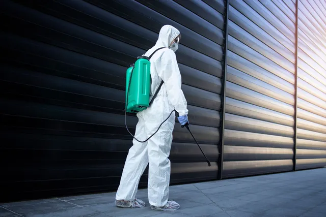expert commercial pest control