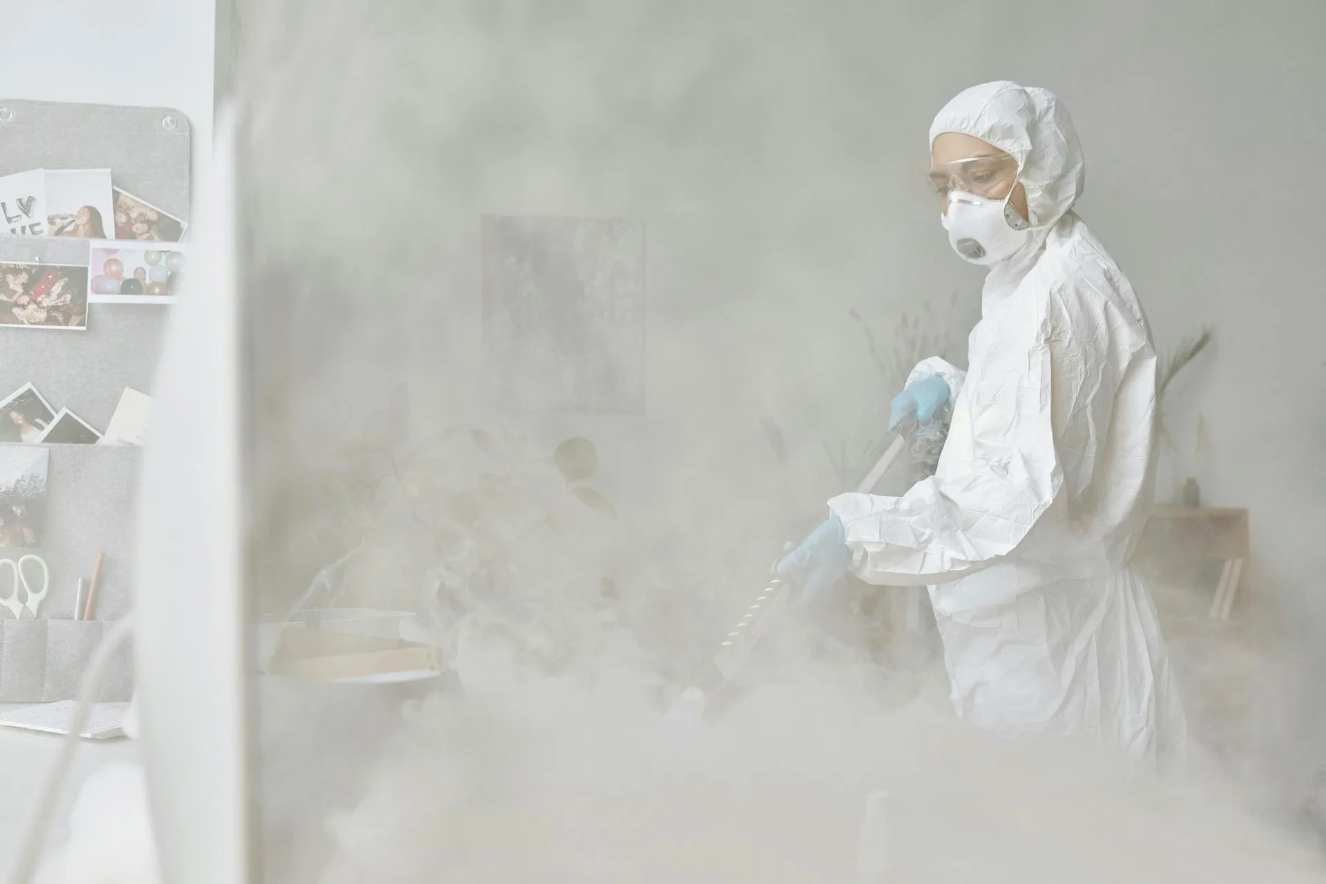 trusted exterminator in Queens, NY