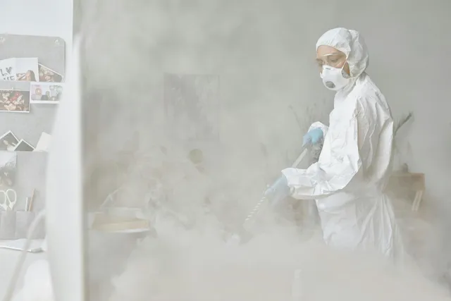 trusted exterminator in Queens, NY