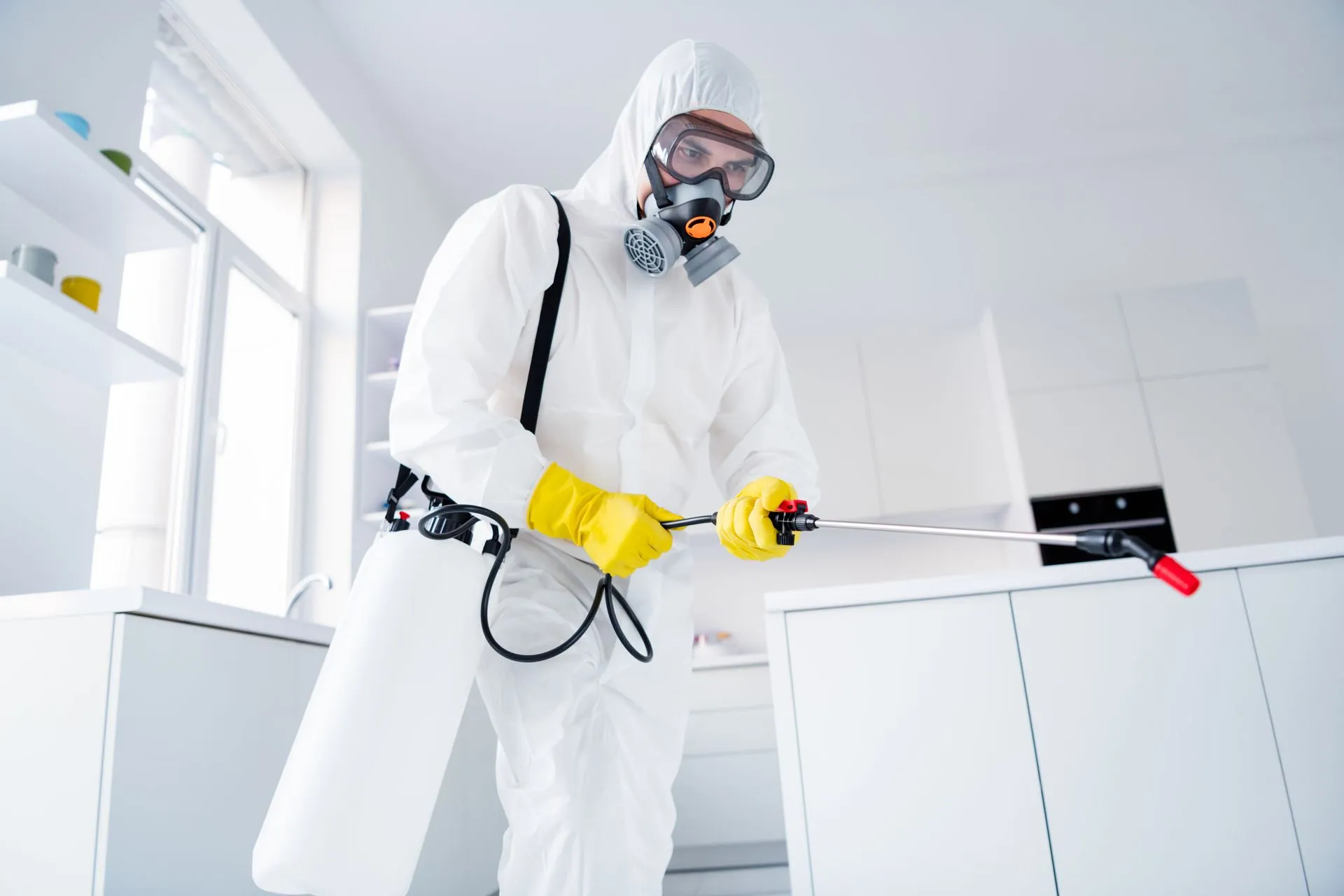 expert pest control