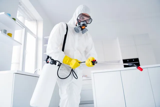 expert pest control