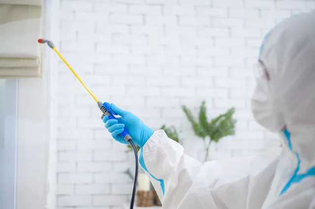professional pest control