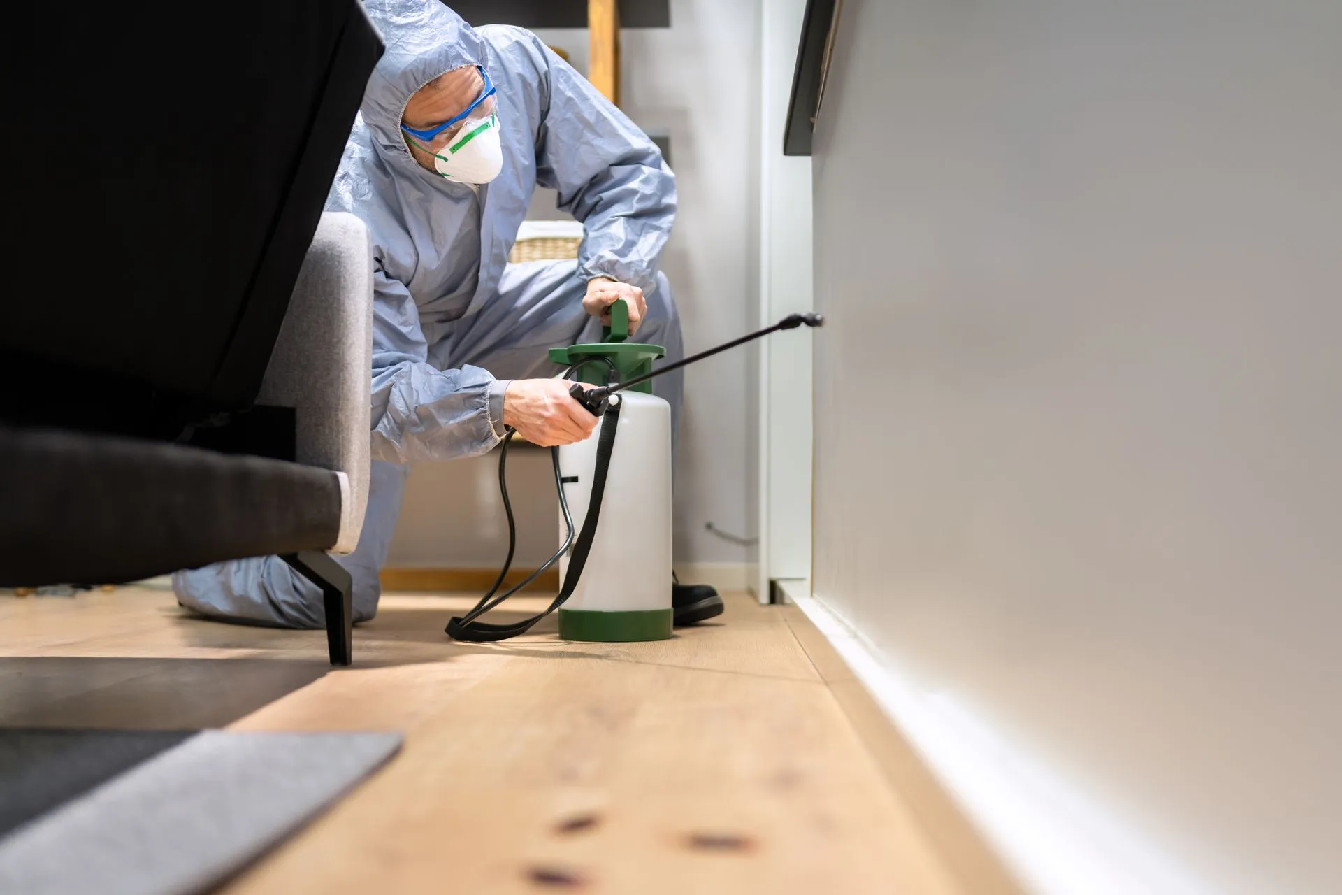 pest control in Queens, NY